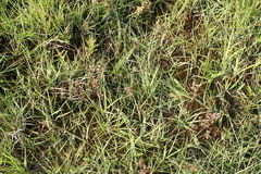 Killikus&reg; Fotographie